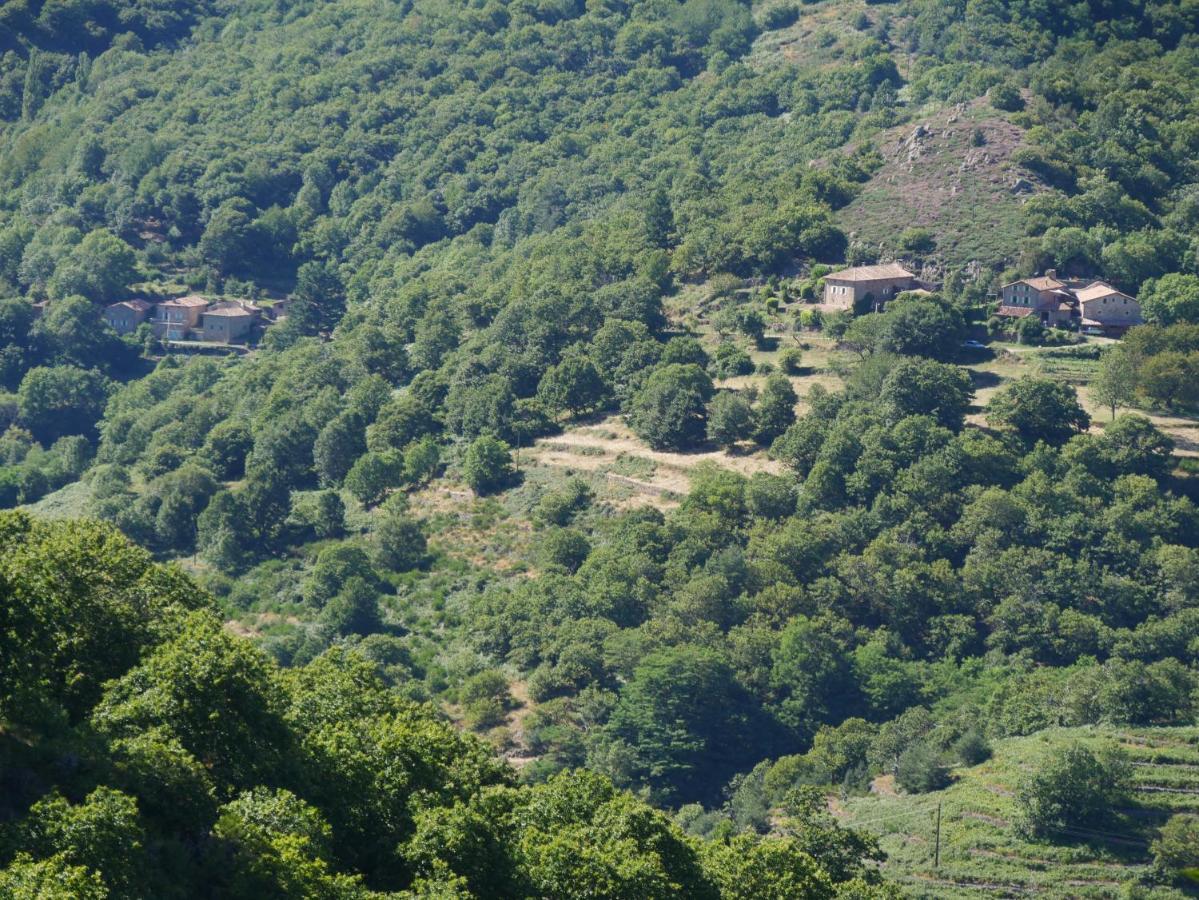 Le Temps Suspendu 호텔 Saint-Pierreville 외부 사진